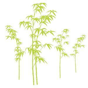 Adhésif déco Bambou - L 70 x l 50 cm - Vert