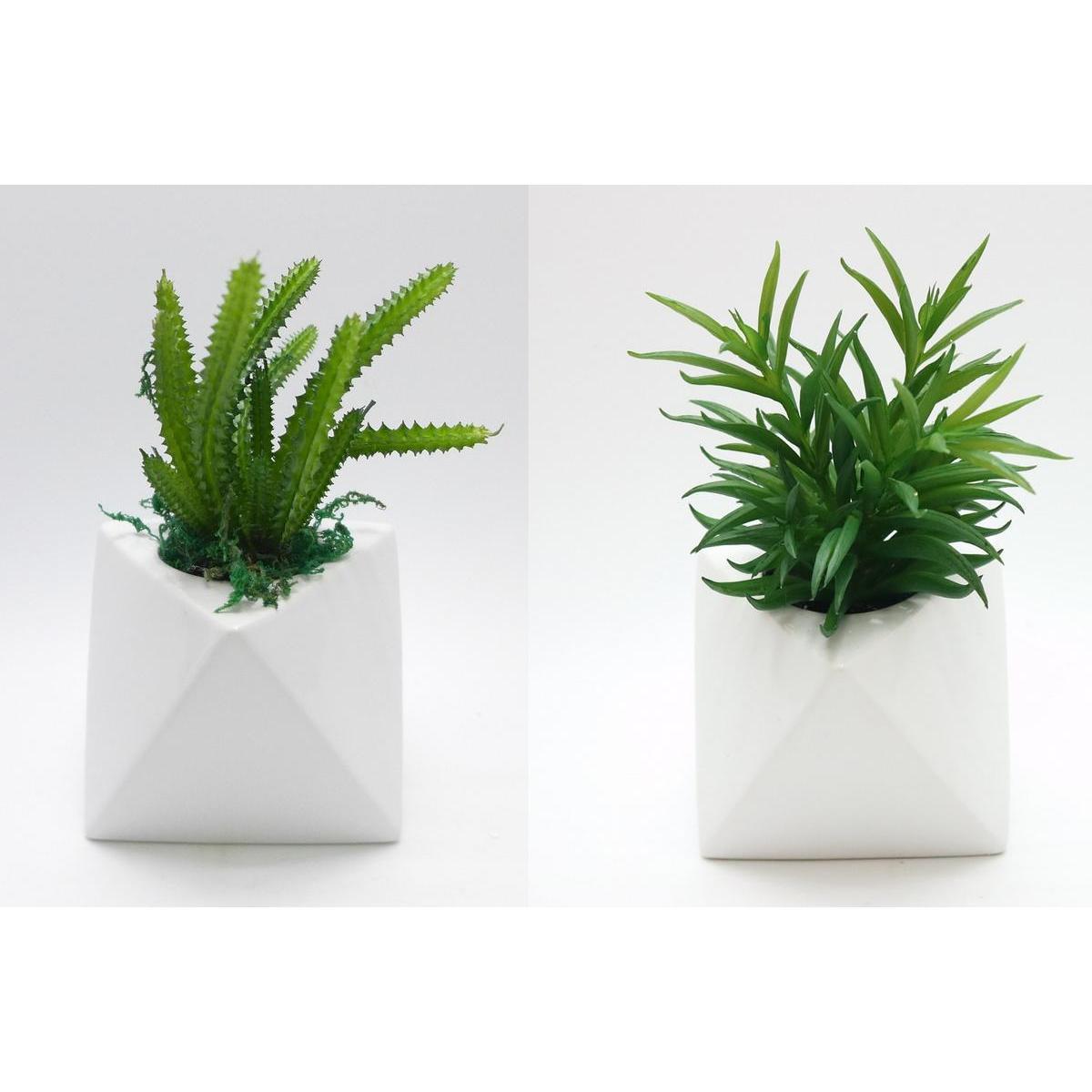 Succulentes synthétiques en pot forme spéciale - H 26 cm - Vert, blanc