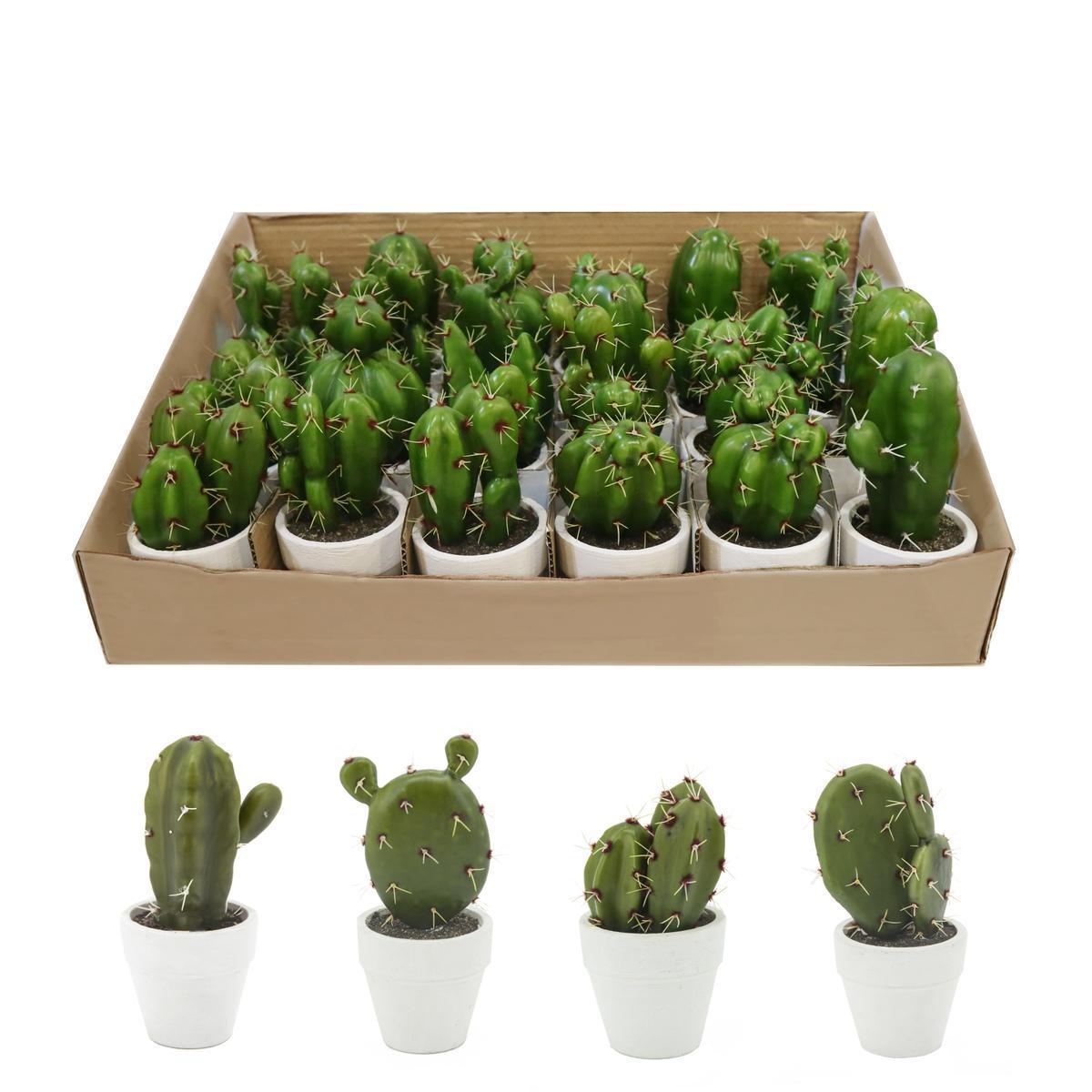 Cactus en pot blanc - H 13 cm - Vert