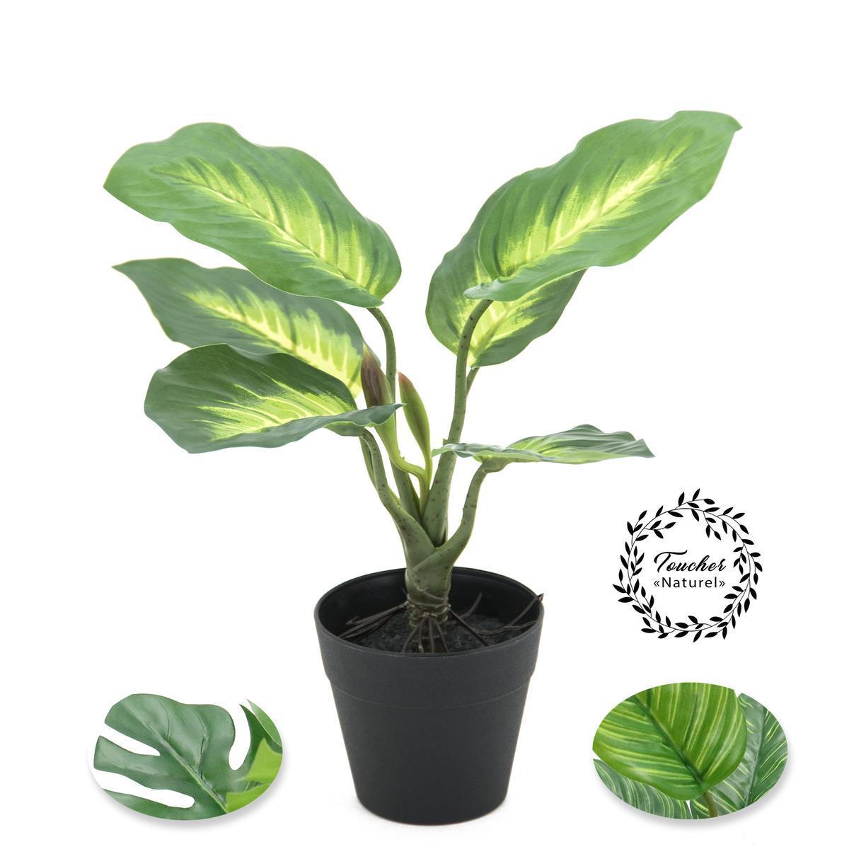 Plante verte toucher naturel - H 25 cm - Vert
