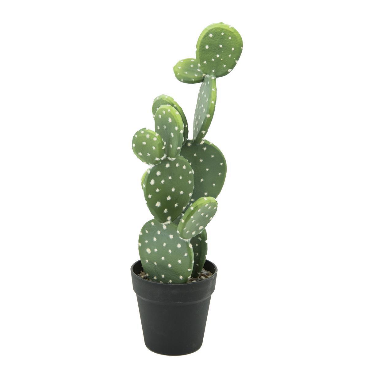 Cactus en pot plastique rond - H 52 cm