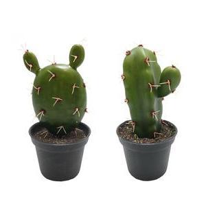 Cactus en pot rond - H 15 cm - Vert