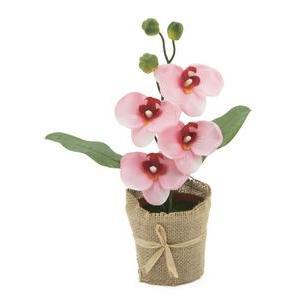 Orchidée en pot toile de jute - H 29 cm