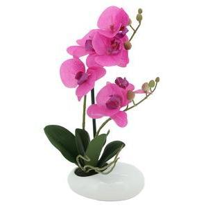 Orchidée 2 branches coupe céramique blanc - H 36 cm