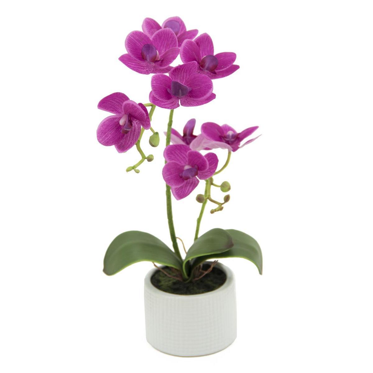 Orchidée en pot céramique - H 36 cm
