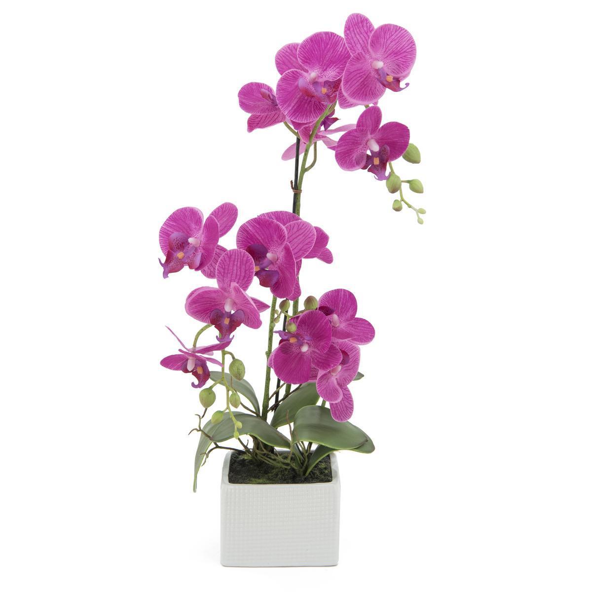 Orchidée en pot céramique - H 46 cm