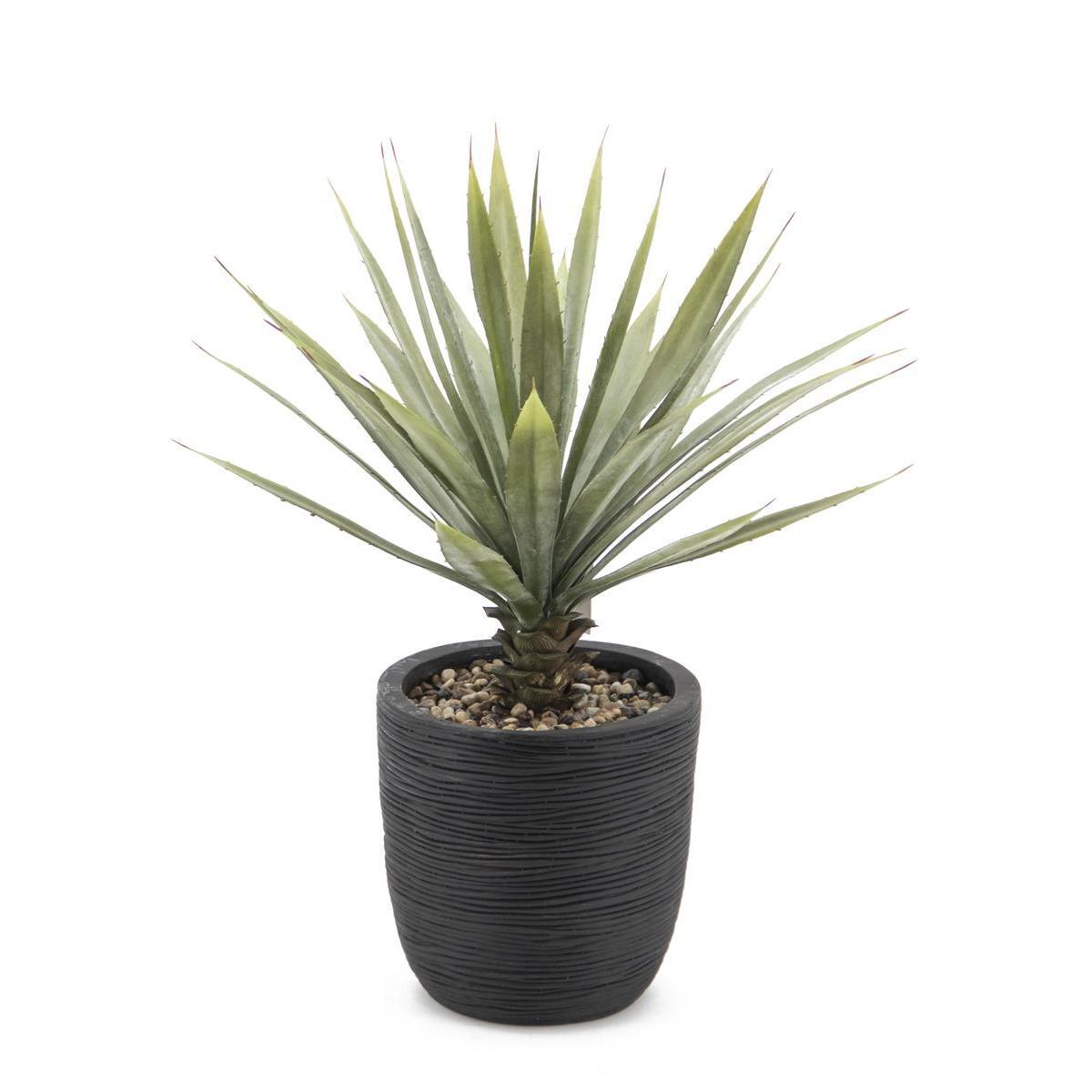 Yucca en pot déco noir - H 70 cm