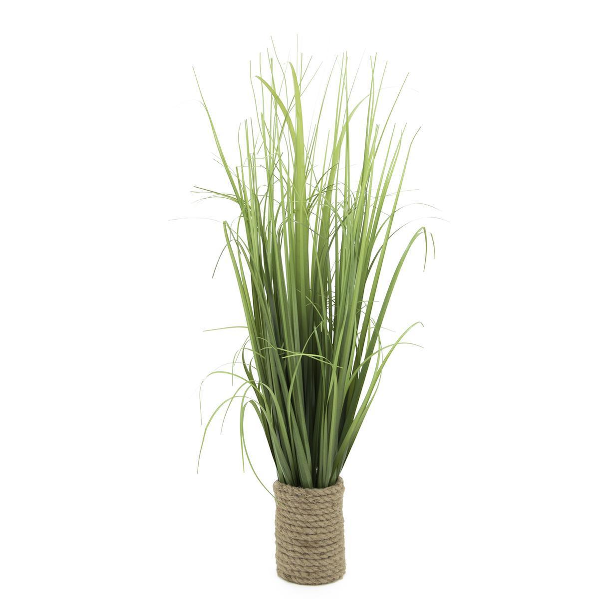 Graminées en pot corde - H 65 cm - Vert