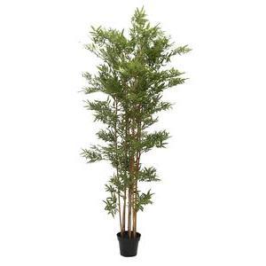 Bambou - H 180 cm - Vert