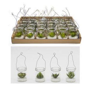 Suspension verre & succulente - H 16 cm - Vert