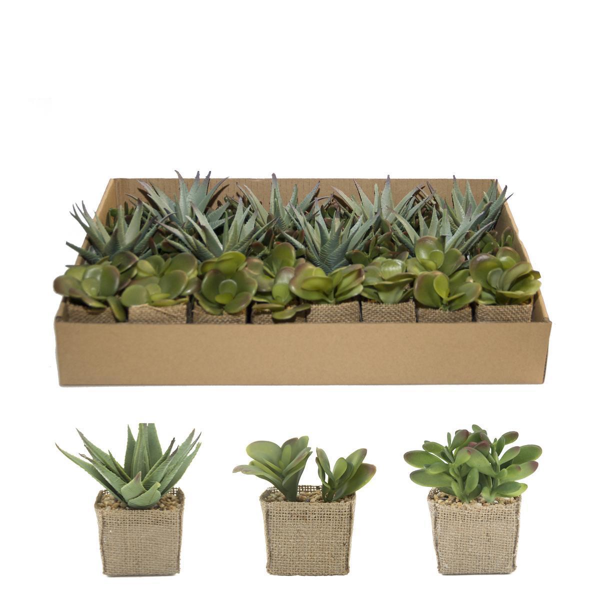 Succulente en pot toile jute - H 13 cm - Vert