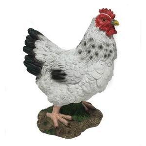 Poule blanche décorative