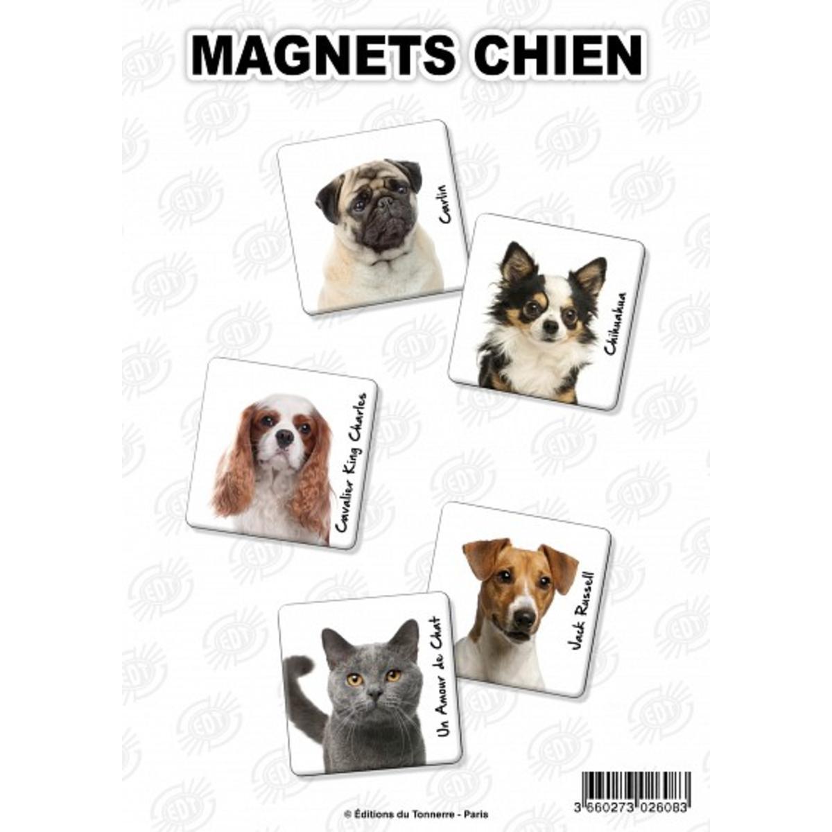 Magnet "chien"