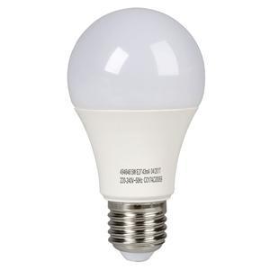 Ampoule LED éco 5 W E27