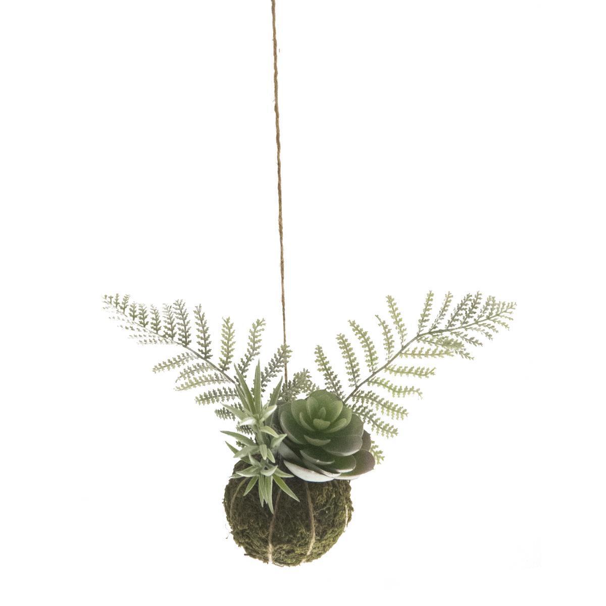 Suspension Kokédama & succulente - H 13 cm - Vert