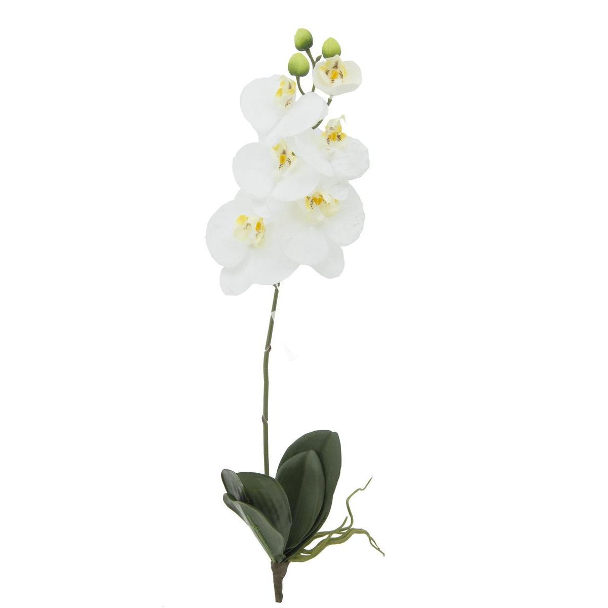 Tige Orchidées toucher naturel - H 60 cm - Blanc