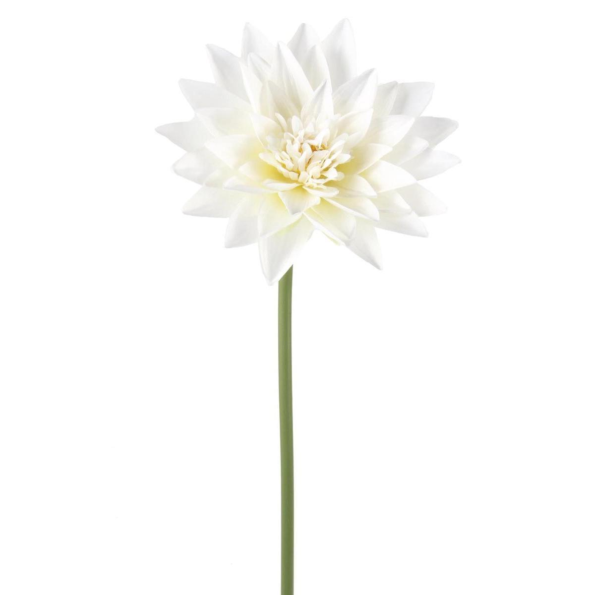 Tige de Lotus - H 66 cm - Blanc