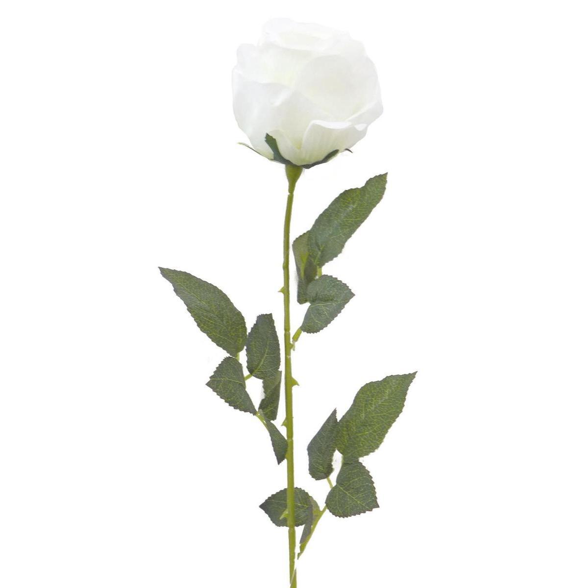 Tige de Rose - H 72 cm - Blanc