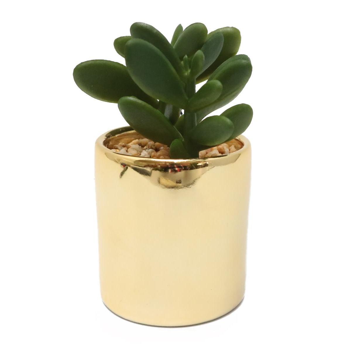 Succulente en pot céramique - H 8 cm - Or
