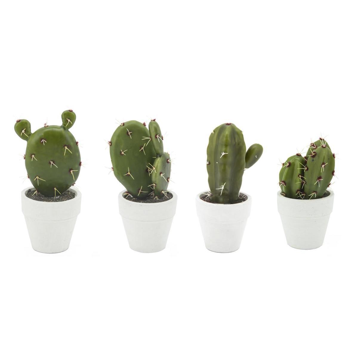 Cactus en pot - Blanc