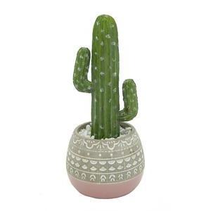 Cactus en pot ciment mexicain