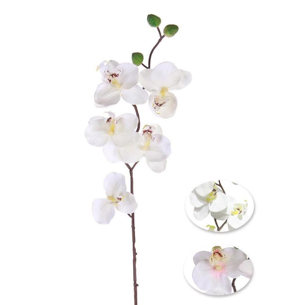 Tige d'orchidée - Vert, blanc, jaune