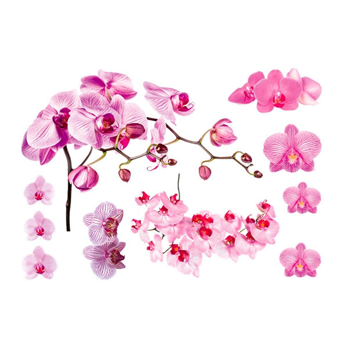 Adhésif déco Orchidée - L 70 x l 50 cm - Rose