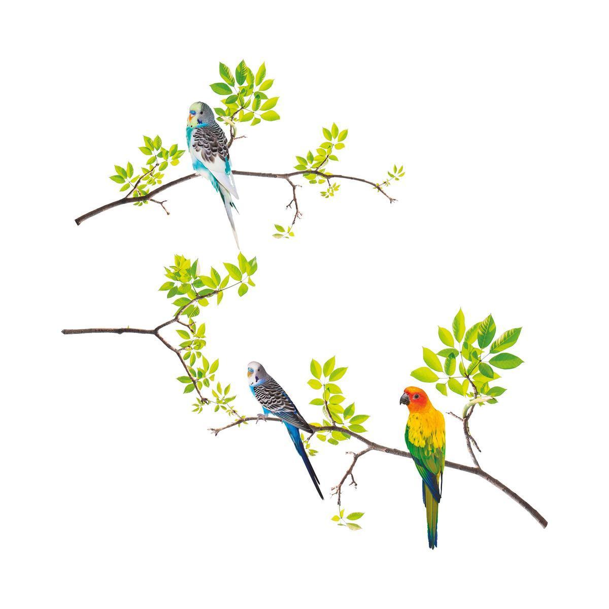 Adhésif déco Oiseaux sur branches - L 70 x l 20 cm - Multicolore, vert