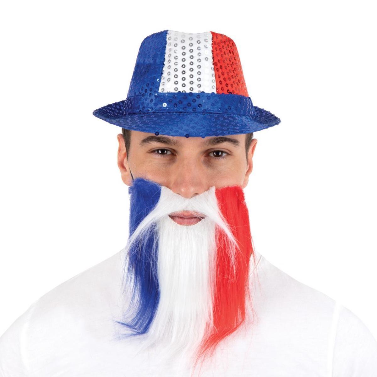 Déguisement Moustache + barbe tricolores - Taille adulte unique - 22 x 30 cm - Bleu, blanc, rouge