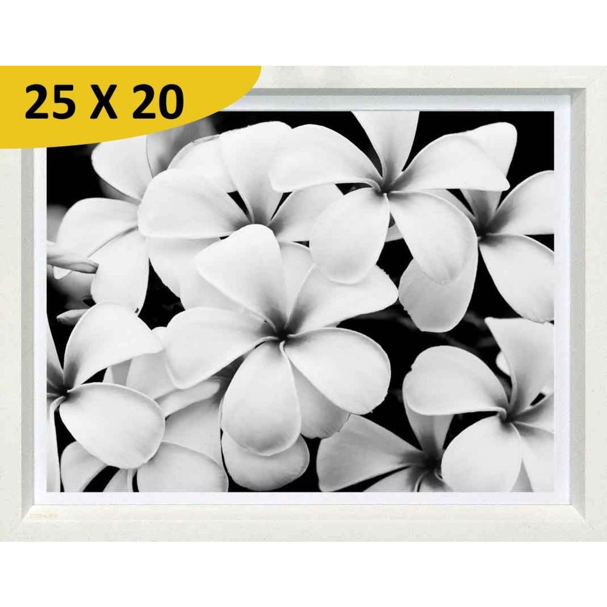 Tableau Fleurs blanches - L 20 x P 1.5 x l 25 cm - Noir, blanc - VUE SUR IMAGE
