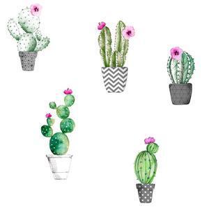Toile cirée Spirit avec imprimés cactus