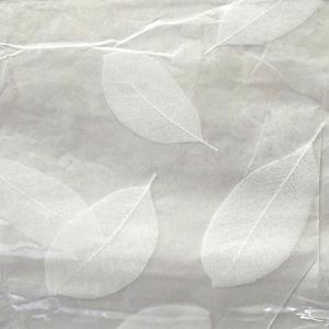 Toile cirée avec imprimés feuilles - Blanc
