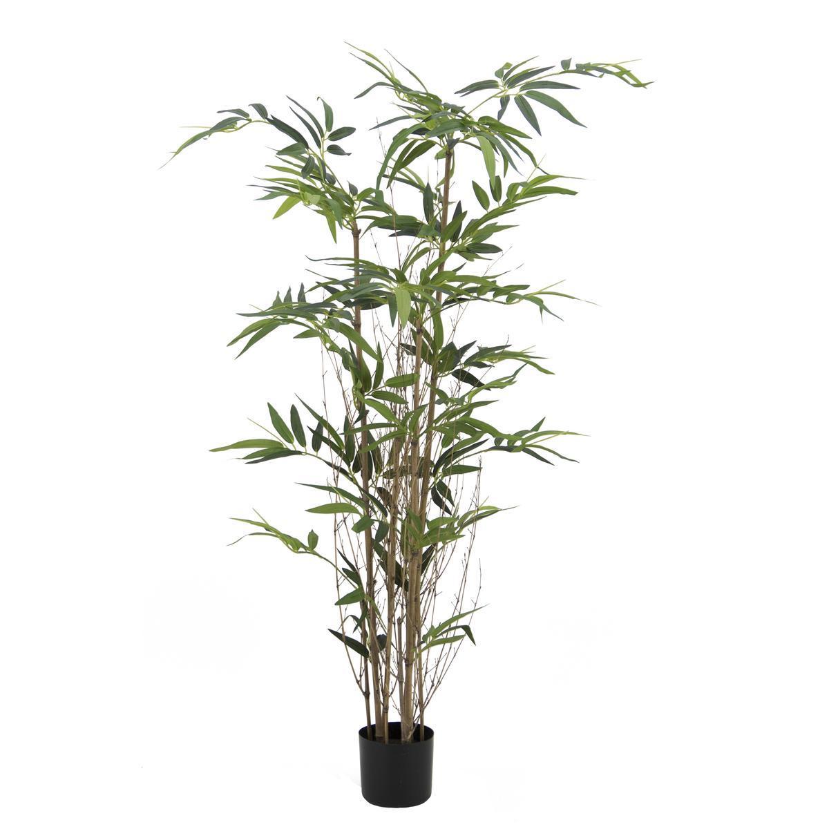 Bambou 3 troncs 336 feuilles