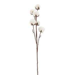 Branche de boules de coton - H 83 cm - Blanc