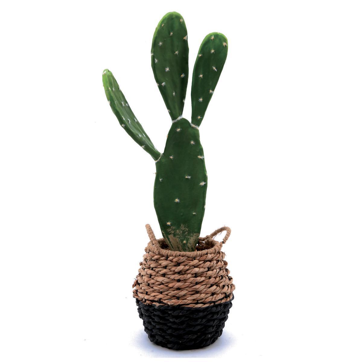 Cactus avec cache-pot panier