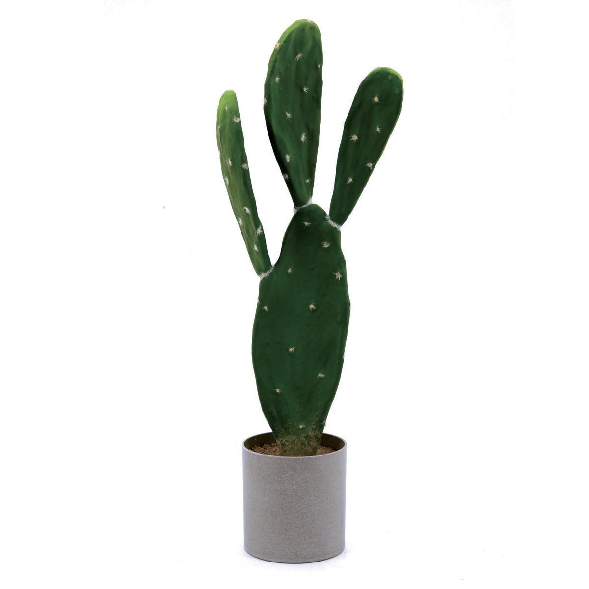 Cactus en pot plastique - Gris