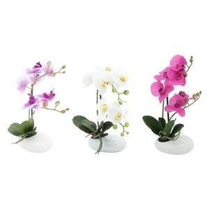 2 Orchidées toucher naturel - H 36 cm - Blanc, Rose