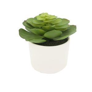 Succulente chou en pot céramique - H 15 cm - Vert