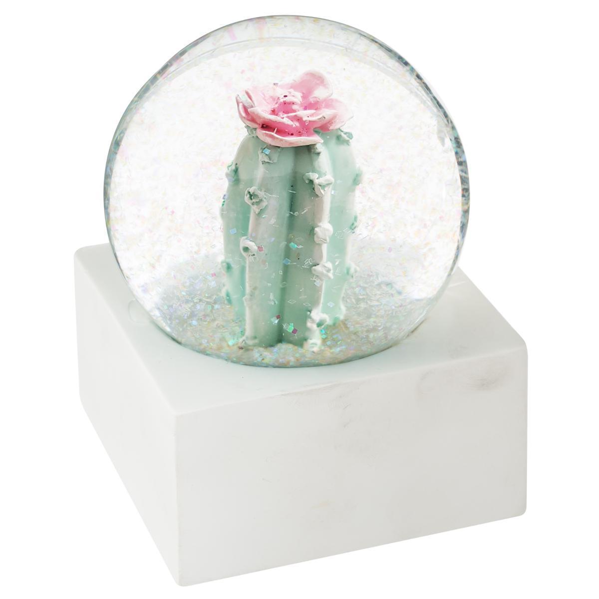 Boule a neige cactus dream assortis