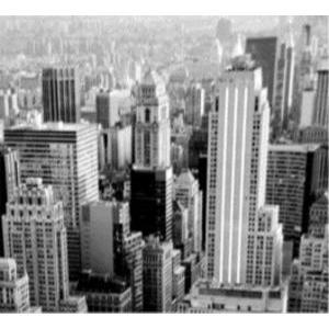 Image contrecollée Gris New-York - 30 x 30 cm