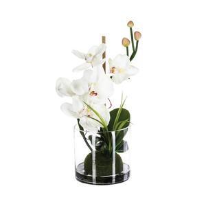 Composition orchidee dans vase verre H 37 assortis