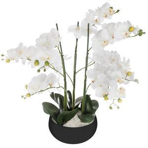 Orchidee pot ceramique noir h65