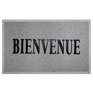 TAPIS D`ENTREE RECTANGLE 45 x