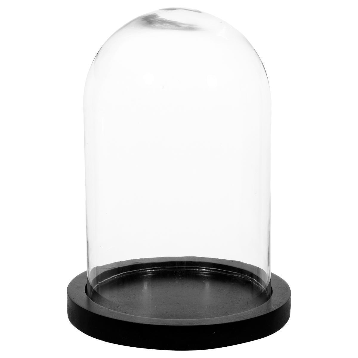 Cloche verre socle bois noir H 26