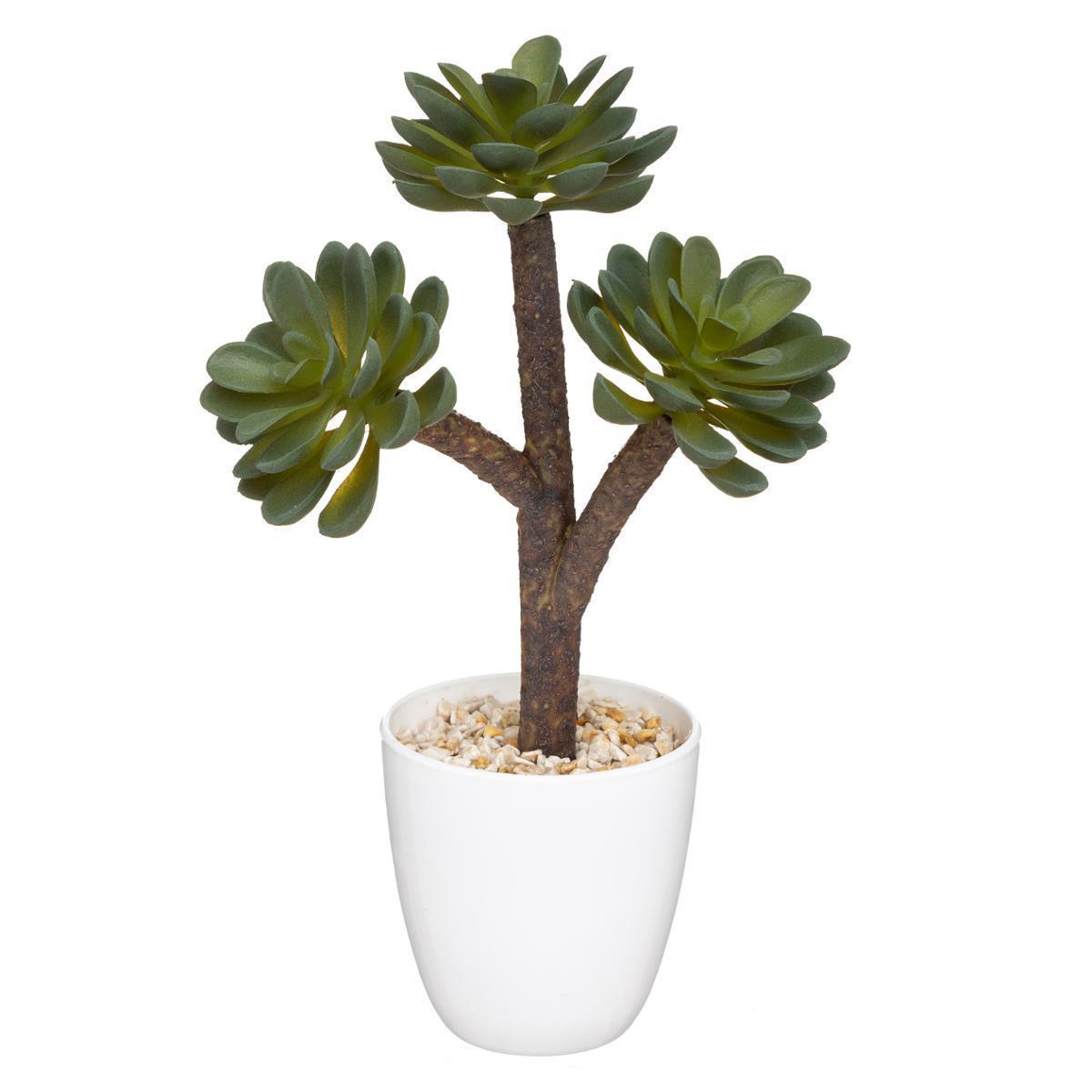 Succulente artificielle archi pot plastique H 23 assortis