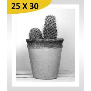 Tableau Cactus - L 30 x l 20 cm - Noir, blanc - VUE SUR IMAGE