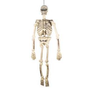 Squelette géant - L 77 x H 15 x l 40 cm - Blanc - PTIT CLOWN