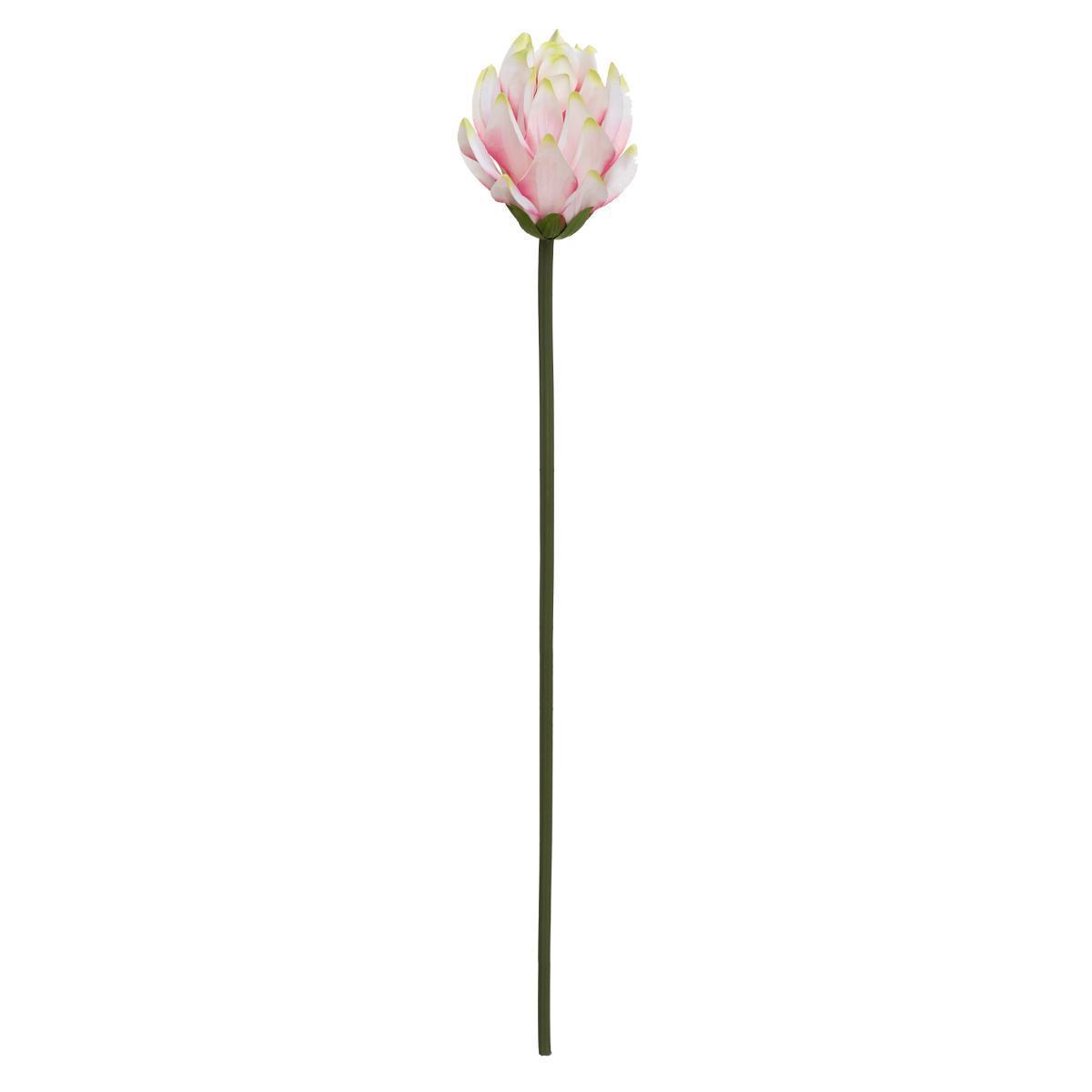 Tige fleur de lotus h75 cm