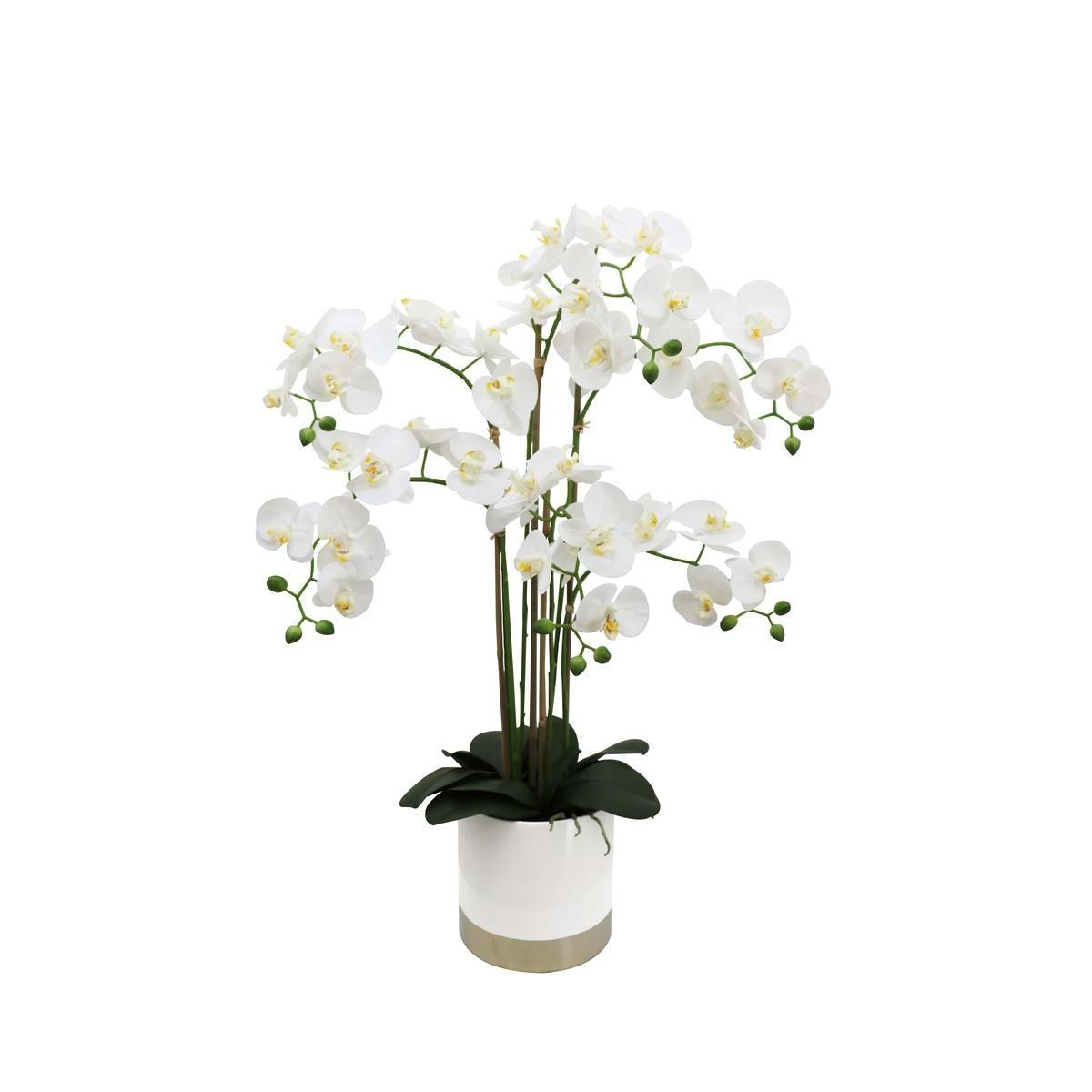 Orchidée fleurie 6 branches - H 80 cm - Blanc