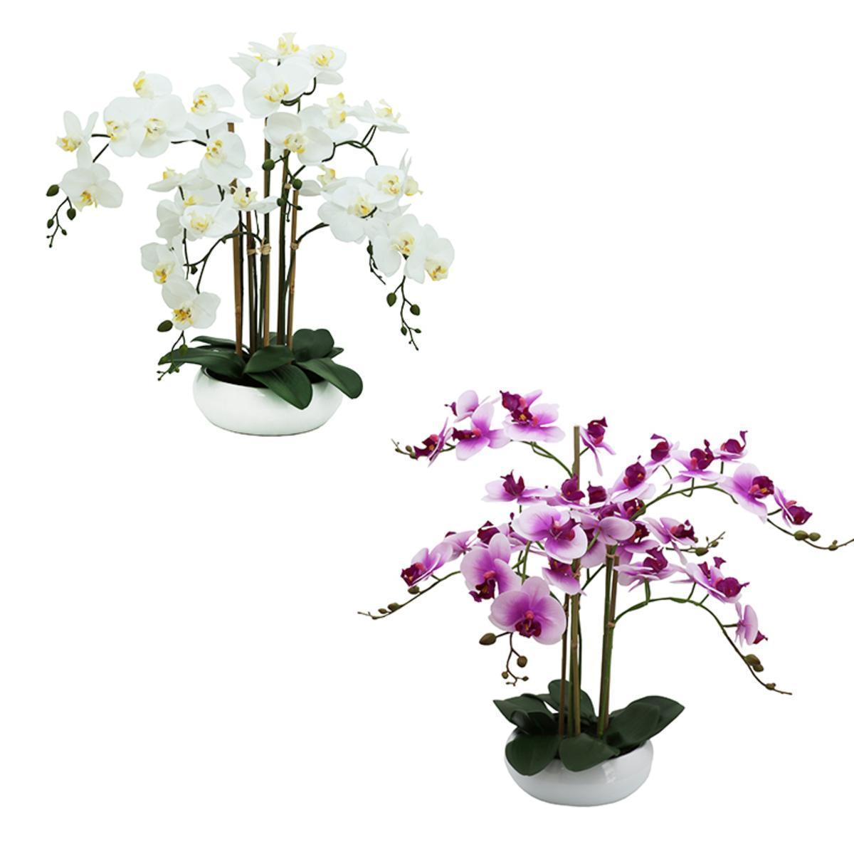 Orchidée fleurie 6 branches - H 55 cm - Blanc, Rose